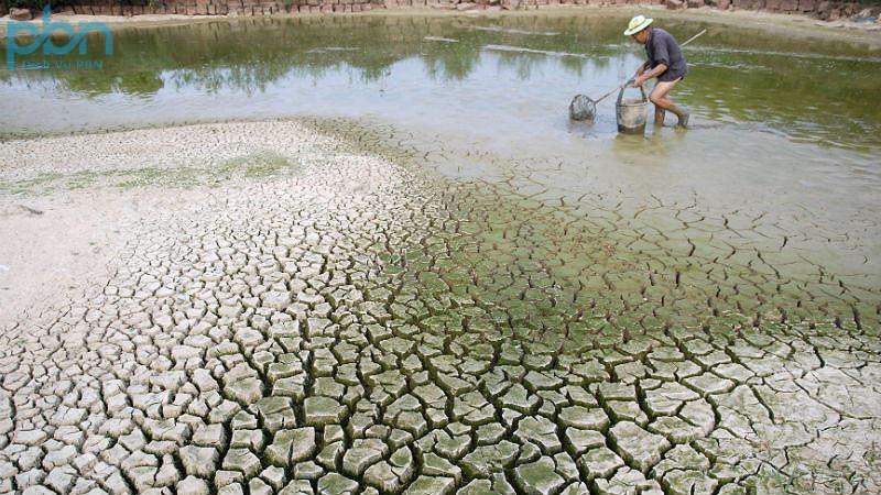 Tăng Chi Phí Sản Xuất Trong Ngành Nông Nghiệp do Biến Đổi Khí Hậu