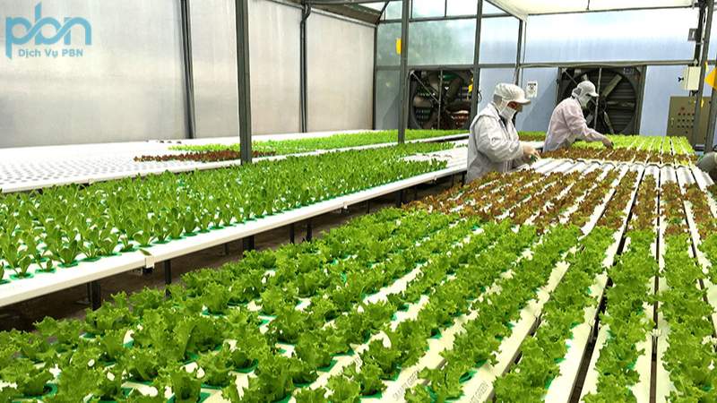 Sự Biến Đổi Trong Sự Đa Dạng của Cây Trồng và Động Vật 